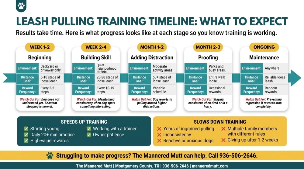 infographics leash pulling timeline