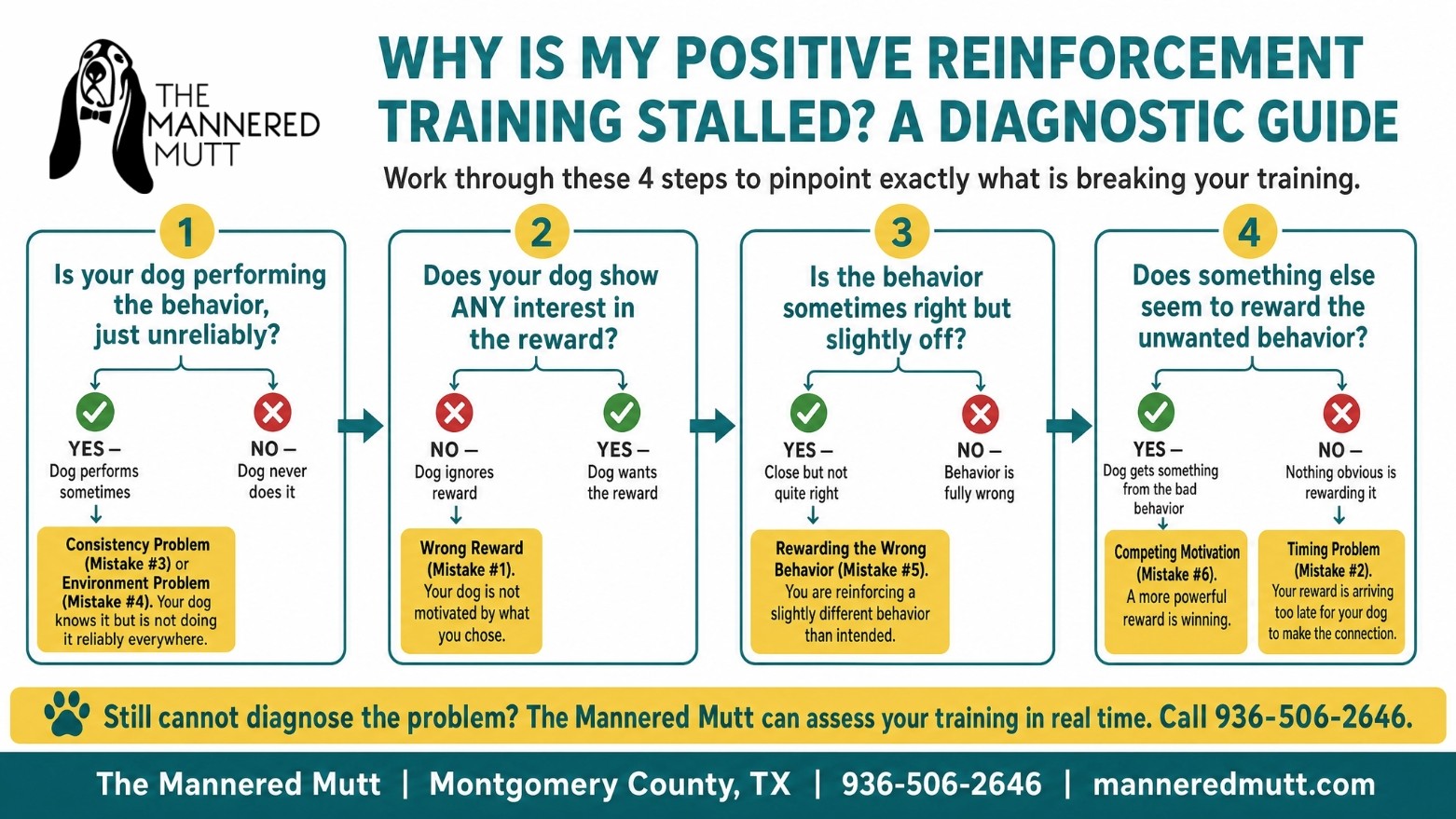 infograohics about ways to make positive reinforcement work