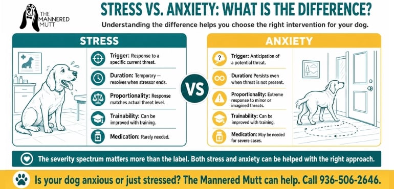 infographics about stress vs anxiety