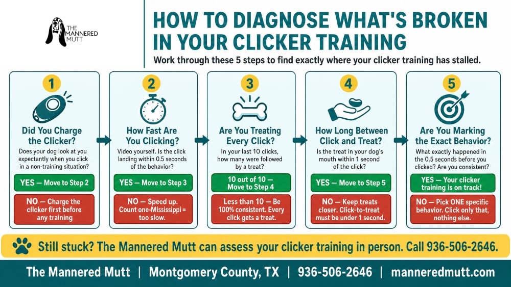 infographic_clicker_diagnostic