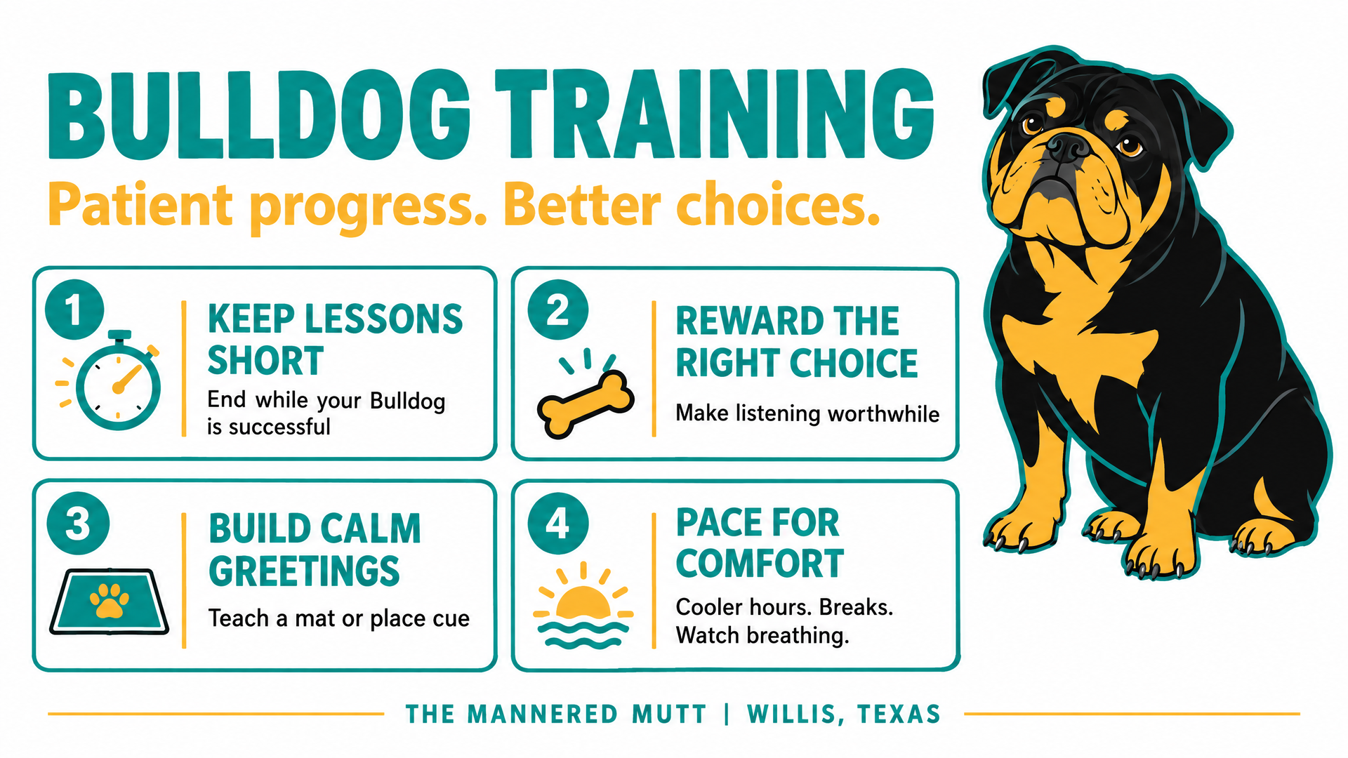 An infographic titled "Bulldog Training" outlining four key training tips alongside an illustration of a black and tan English Bulldog
