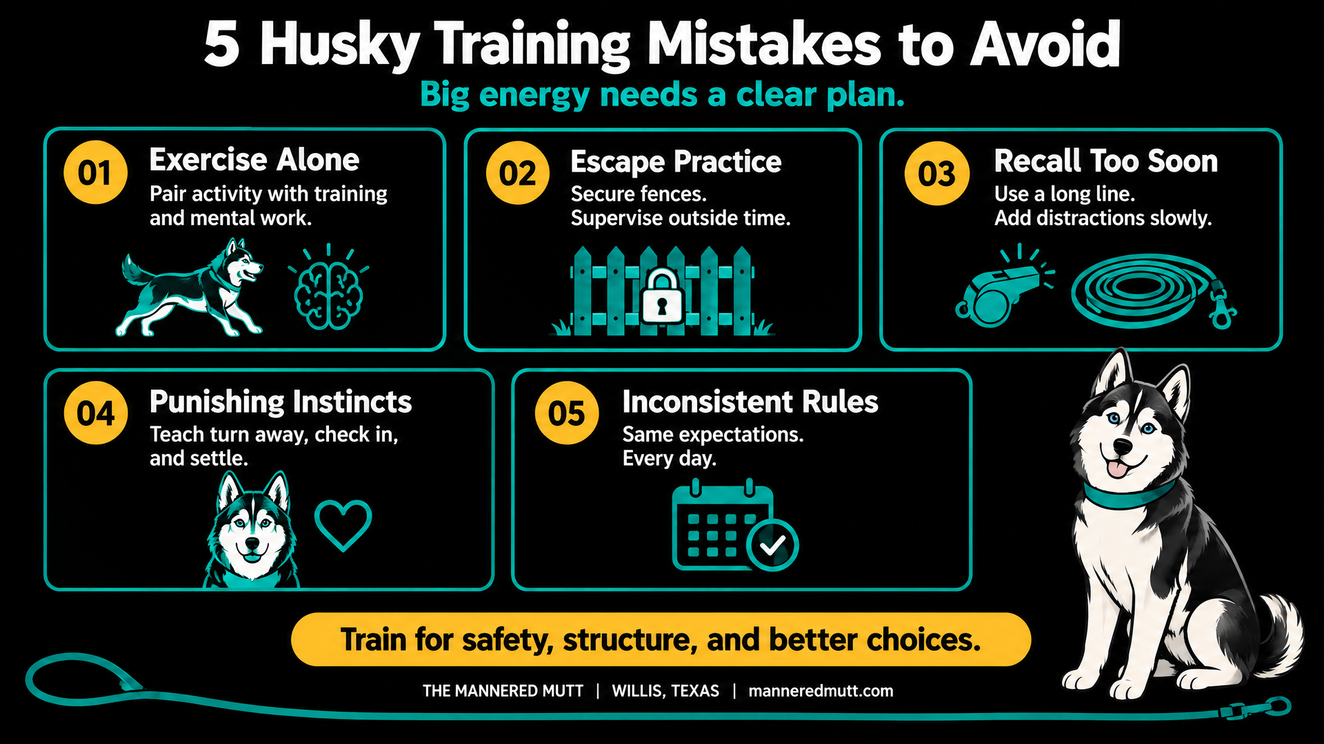 Infographic of five Husky training mistakes to avoid, including escape practice and recall training too soon