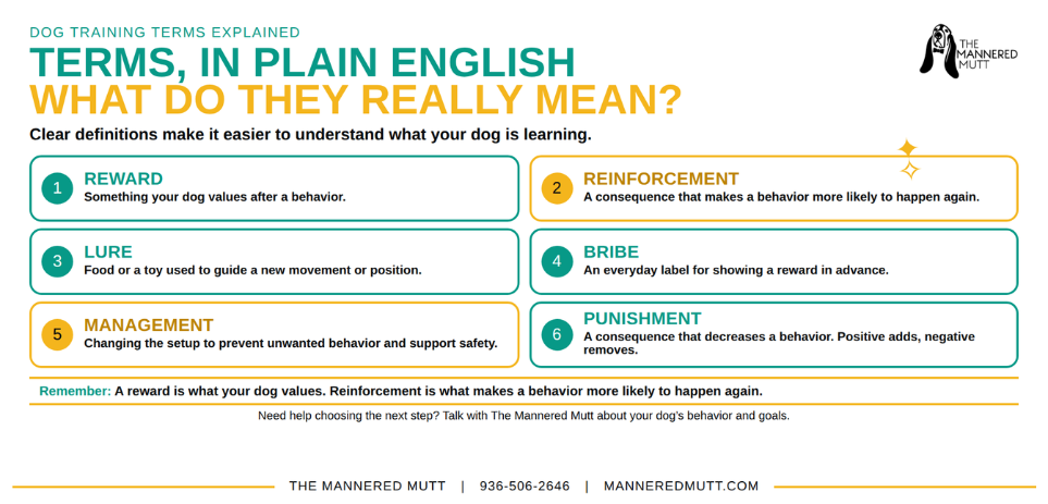Infographic titled "Dog Training Terms Explained" defining 6 terms: Reward, Reinforcement, Lure, Bribe, Management, and Punishment, by The Mannered Mutt