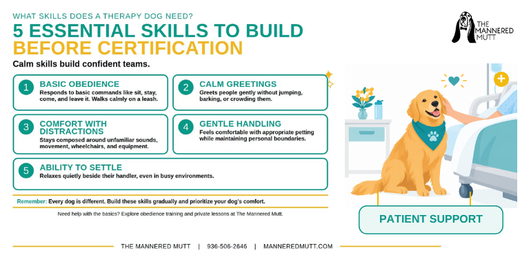 Infographic titled '5 Essential Skills to Build Before Certification' for therapy dogs, detailing basic obedience, calm greetings, comfort with distractions, gentle handling, and ability to settle.