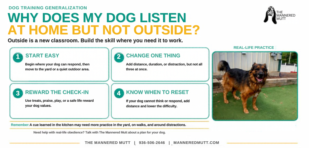 infographic about why does my dog listen at home but not outside